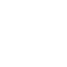 Apple Logo